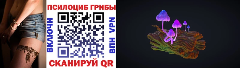 где продают   Бийск  Галлюциногенные грибы мухоморы 
